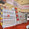 Factory direct supply advanced cage for transport of chicken